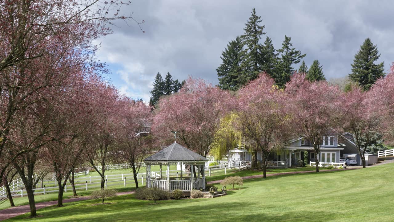 Home on Salamo Road border of Savannah Oaks in West Linn OR Home with on acreage in Savanna Oaks of West Linn