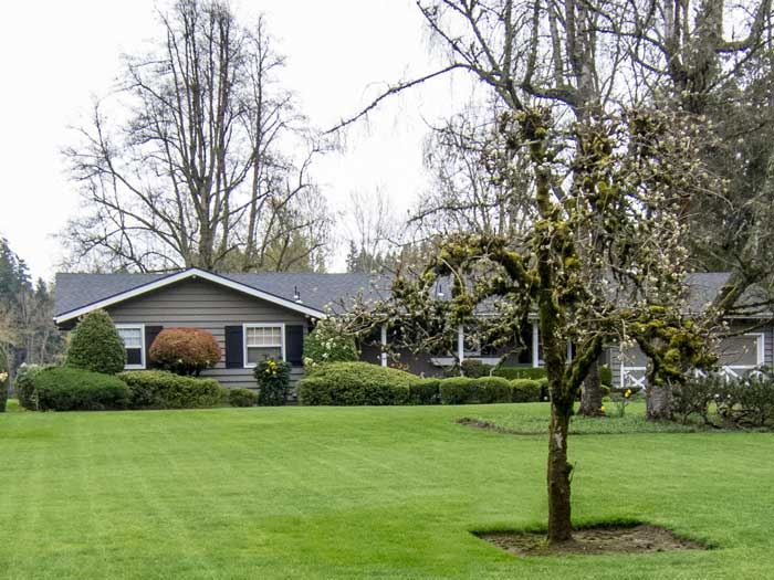 Renovated rambler on the Willamette in Robinwood neighborhood