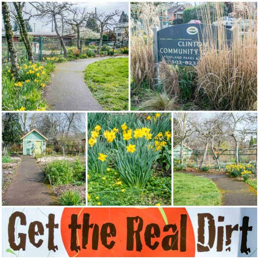 Community Garden