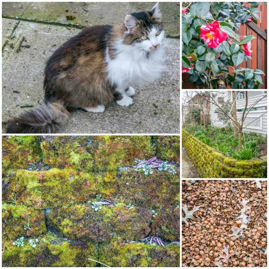 HOSFORD-ABERNETHY-WALKING-TOUR-03-04-16 HOSFORD ABERNETHY WALKING TOUR 03 04 16
