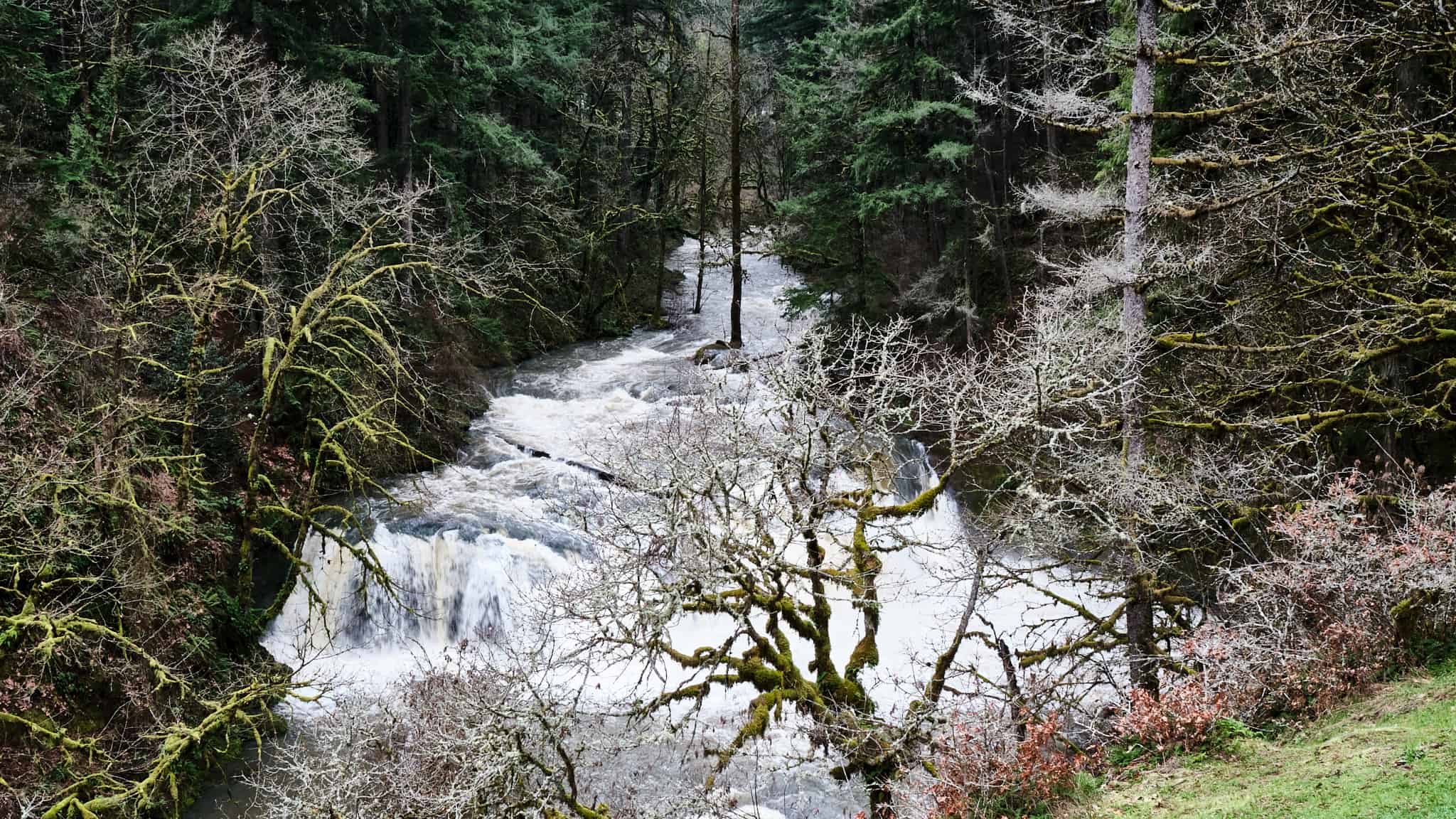 Lacamas Park Lacamas Park