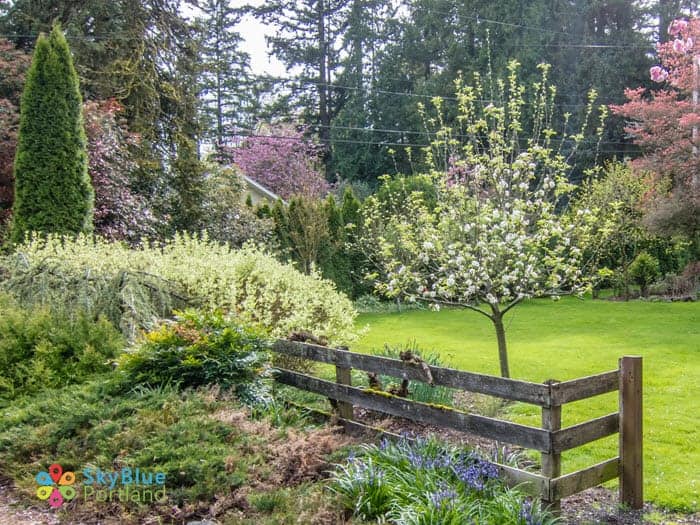 Playground at McNary-Park- Lake Oswego OR Lake-Grove-Neighborhood-Lake-Oswego