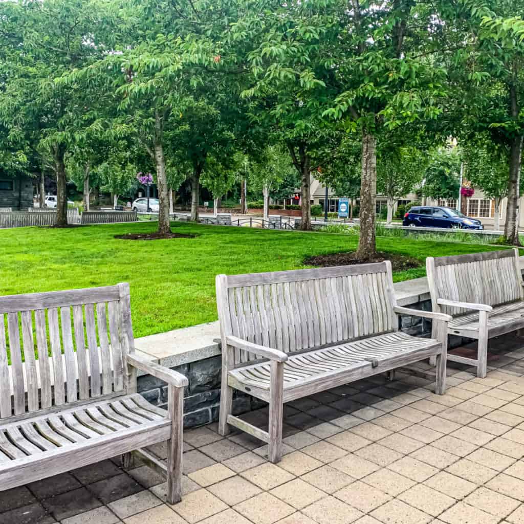 Park benches in Evergreen Neighborhood