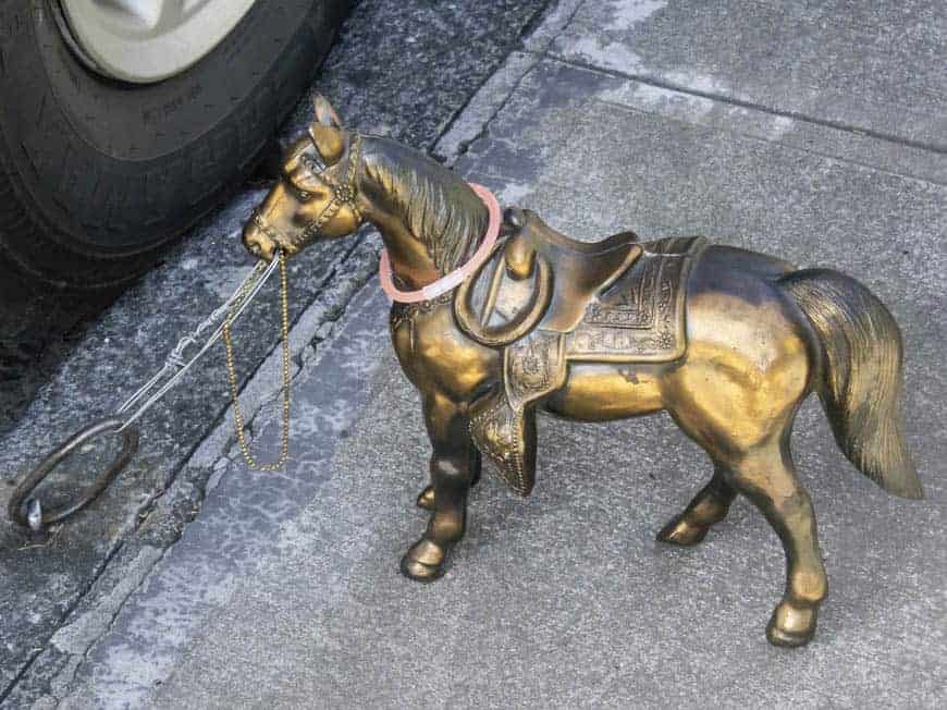 Portlands Horse Ring Project