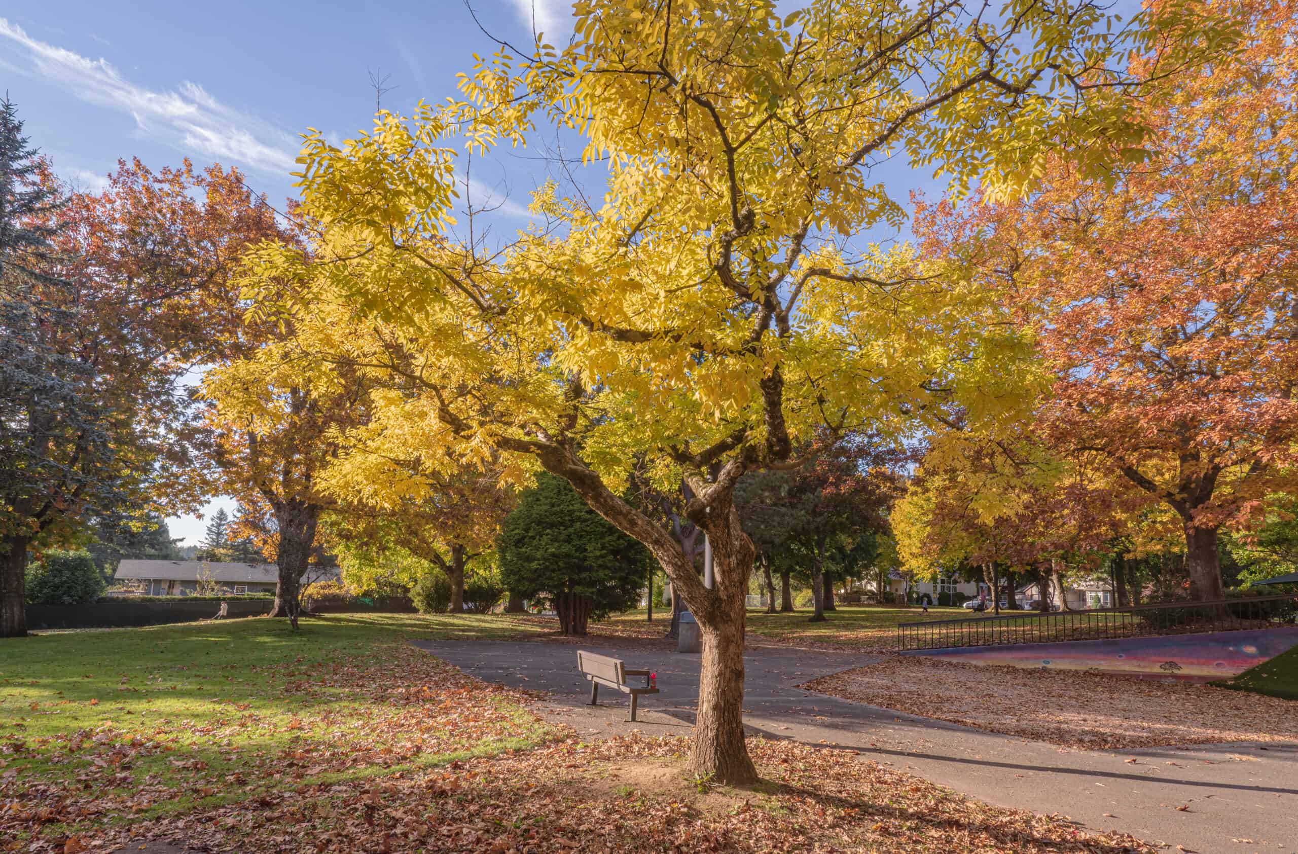 gresham park scaled