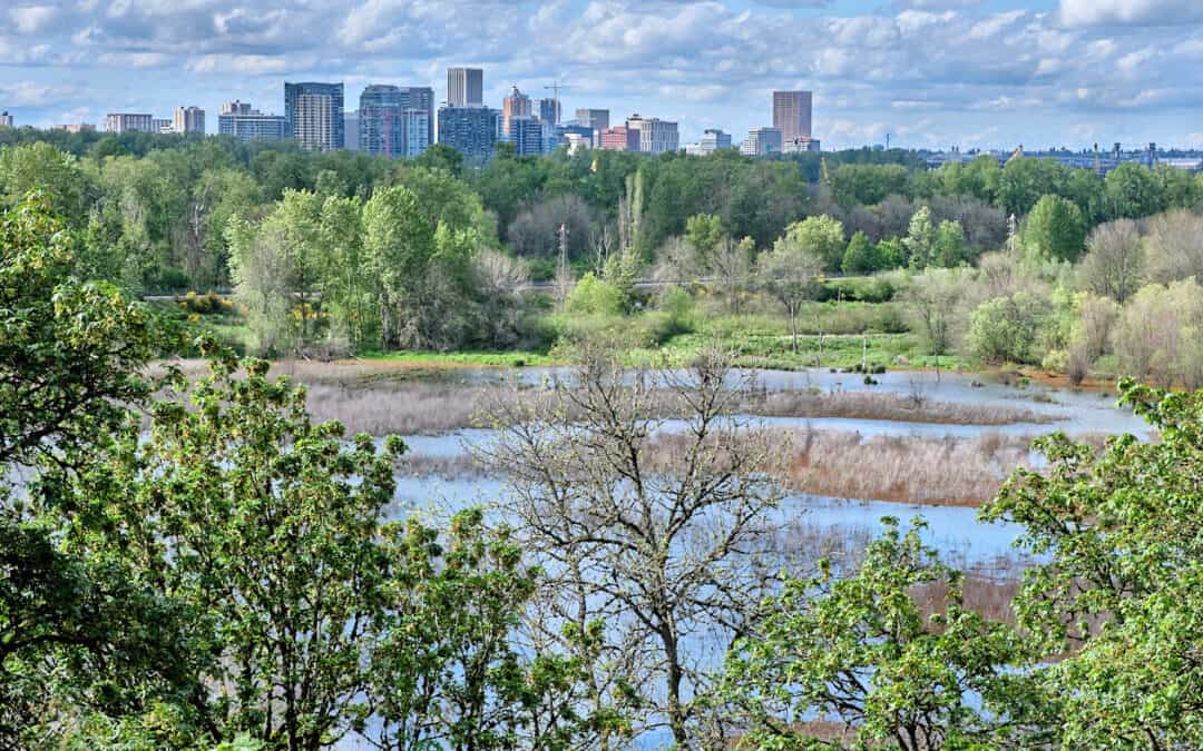 Guide to Oaks Bottom Wildlife Refuge