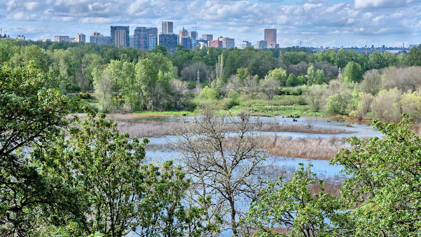 Guide to Oaks Bottom Wildlife Refuge