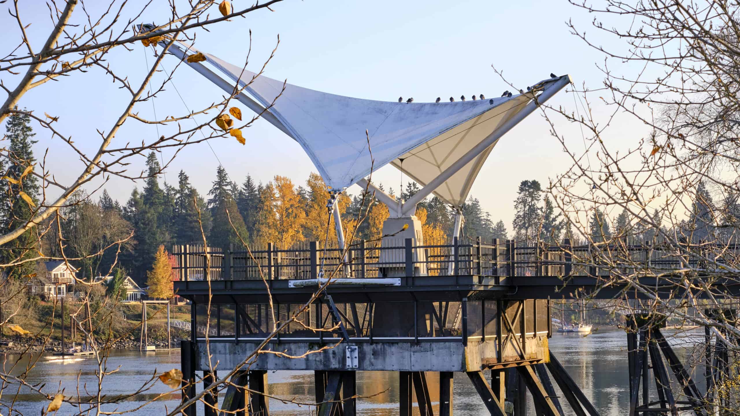 Overlook in Foothills Park Lake Oswego