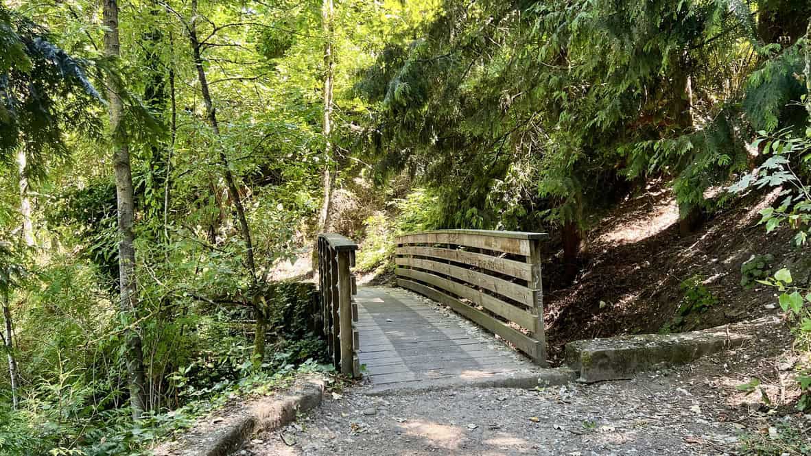 Oaks Bottom Trail