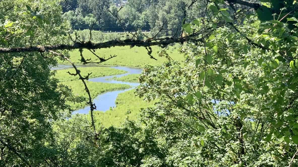 Oaks Bottom - Willamette River Flodplain